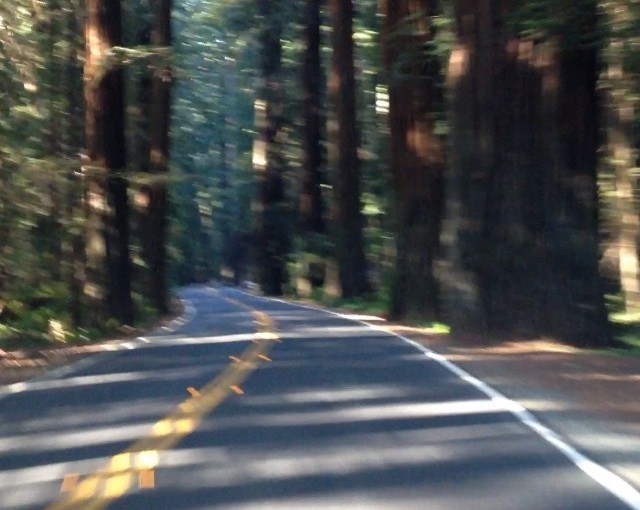 A driving tour. You had to be there.