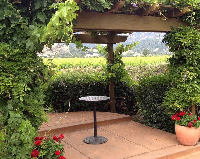 A little piece of heaven at the Vineyard.