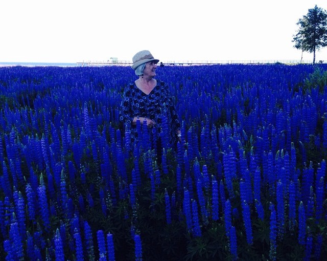 Instagram Image