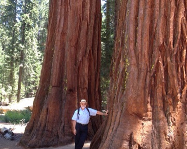 Larger than you can imagine. Can’t wait to compare them with the Redwoods.