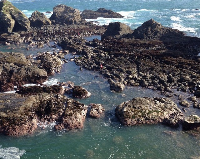 So much of the CA coastline looks like this.