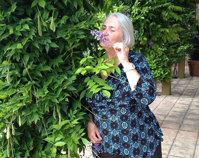 “Stop and smell the Lilac”, at the Vineyard.