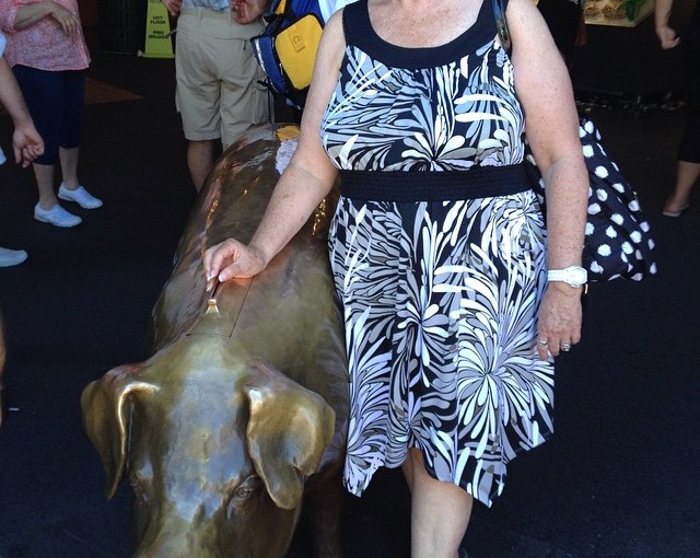 The Golden Pig, an icon of downtown Seattle, stand to receive donations. Peggy is feeding him.