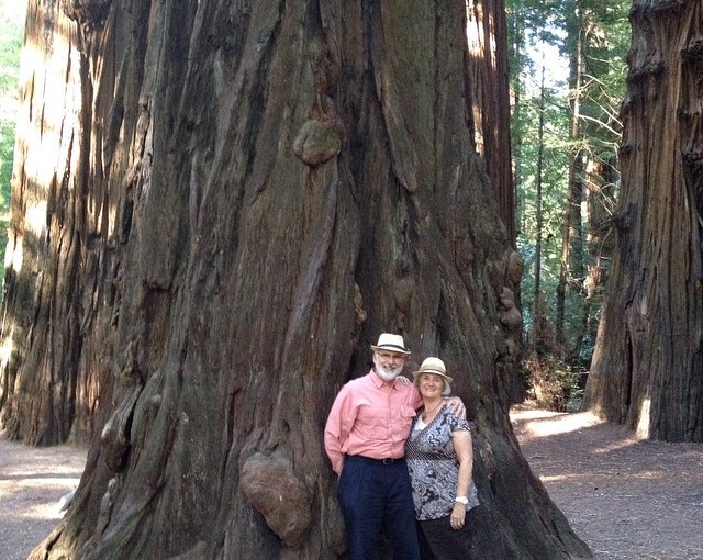 There were sights like this for miles in the park.