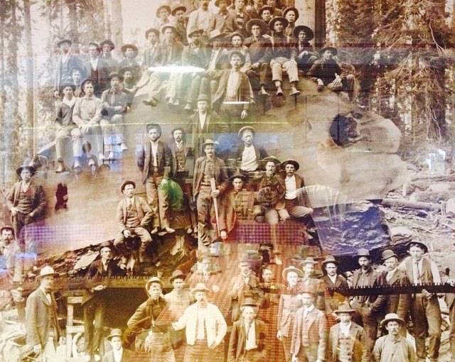 This is a redwood that measured 26 ft across and was cut with a 28ft hand saw. This cookhouse pic was among many interesting photos found in this restaurant. This place was the source of 3 meals a day for these tough and rough loggers.