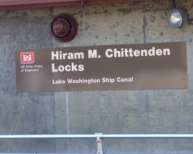 We visited Ballard today, downtown Seattle. These locks are very active with boats of all sizes moving from one type of water into fresh water, maybe brackish water?