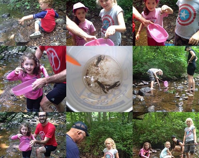 Catching crawfish with all the kids. Joseph (all into it) with Meagan & kids caught about 20 and then released them.