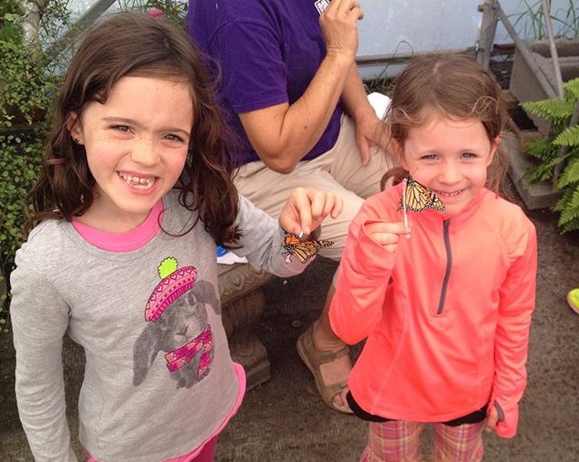 Hannah and Norah are holding new butterflies fresh out the box from Mexico. The come in tiny envelopes.